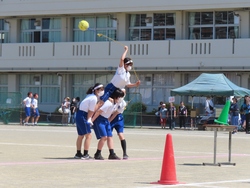 体育祭