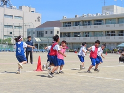 体育祭