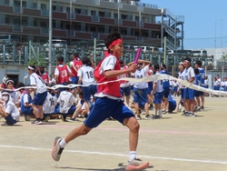 体育祭