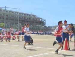 体育祭