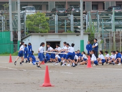 応援