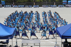 ソーラン節