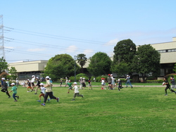 浦安公園の芝生広場で遊ぶ児童
