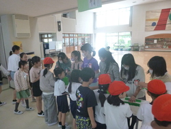緑の羽根募金