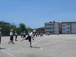 06