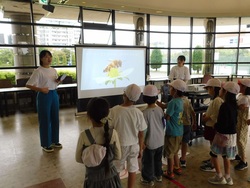 明海大学