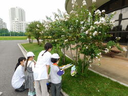 明海大学