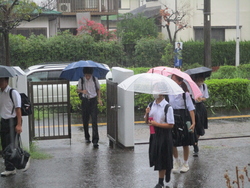 雨の1日