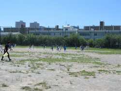 bukatu7