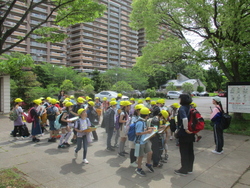 高洲中央公園では、経験したことのない震災の恐ろしさを感じました。