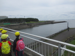 境川が東京湾につながっている