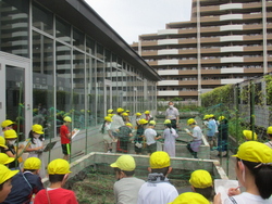 高洲公民館では