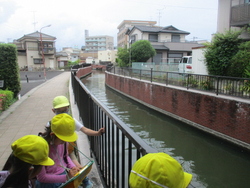 境川は、元町地区では橋がたくさん架かり