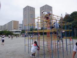 03