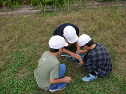 04