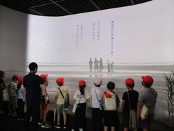 展示