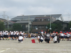 お助け綱引き