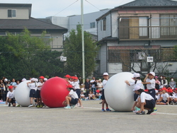大玉転がし
