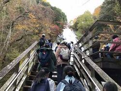 日光