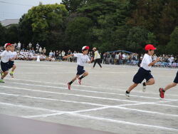 舞浜小学校の運動会