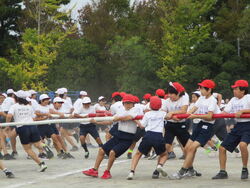 舞浜小学校の運動会