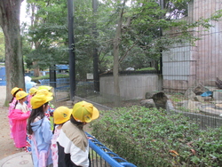 見学する児童