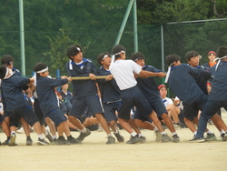綱引き2