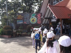 ありのみコース