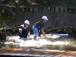 ありのみコース