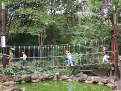 湖の上を渡る