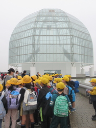 水族園に入る児童