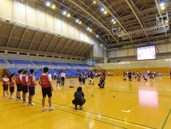 交流