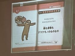 20241120　お話会