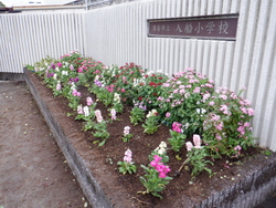 08