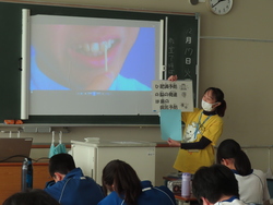 歯