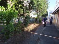 草刈り