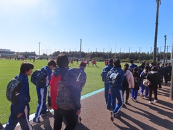ラグビー