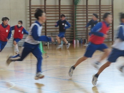 五種