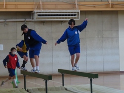 五種