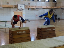 五種