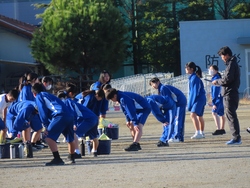 体育