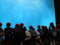 2025.01.24　葛西臨海水族園・魔法の文学館）