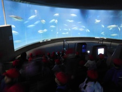 2025.01.24　葛西臨海水族園・魔法の文学館）