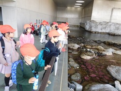2025.01.24　葛西臨海水族園・魔法の文学館）
