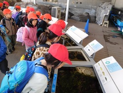2025.01.24　葛西臨海水族園・魔法の文学館）