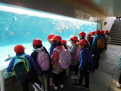 2025.01.24　葛西臨海水族園・魔法の文学館）