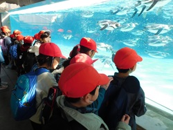 2025.01.24　葛西臨海水族園・魔法の文学館）