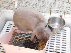 2025.01.27　こども園の朝の様子