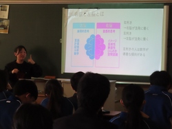 理科