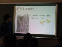 理科